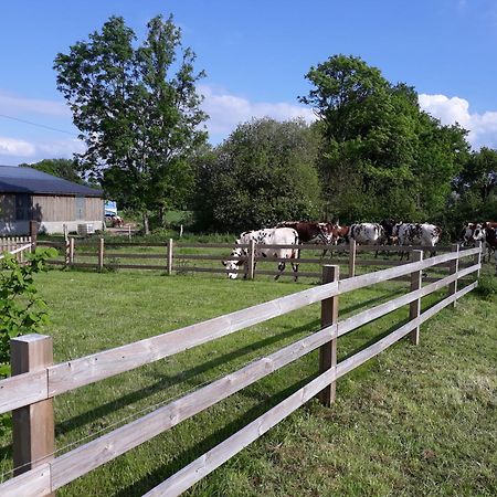 Villa Roulotte A La Ferme Buissonniere La Lande-de-Louge Exterior foto